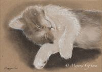 Soft and Cuddly